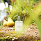 MYRTUS GUAVA EAU DE PARFUM